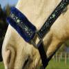 Rhinegold Crystal Star Headcollar & Rope Set,Navy/Green view 2