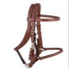 Showman Argentina Cow Leather Halter Bridle Combo view 1