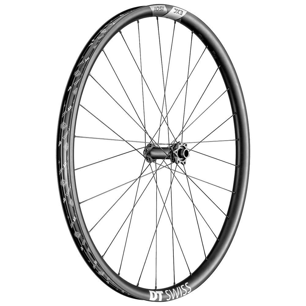 DT Swiss EXC 1501 Spline ONE Front Wheel - 29", 15 x 110mm Boost, 6-Bolt, Black