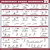 3 Pack: Resistance Bands Workouts Volume 1 & 2 + Resistance Loops Exercises Poster Set - Set of 3 Workout Charts (Laminated, 18" x 24") view 4