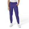 WonderWink W123 Womens Comfort Waist Cargo Jogger Pant  Grape, 1X Tall view 1