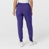 WonderWink W123 Womens Comfort Waist Cargo Jogger Pant  Grape, 1X Tall view 4