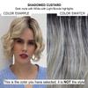 Bundle - 3 items: Carter Wig by Rene Paris, Christy's Wigs Q & A Booklet & Wide Tooth Comb - Color: Shadowed Custard view 2