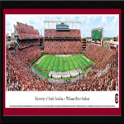 Blakeway Worldwide Panoramas, Inc. South Carolina Football - 41.5x15-inch Panoramic Photograph with Mat