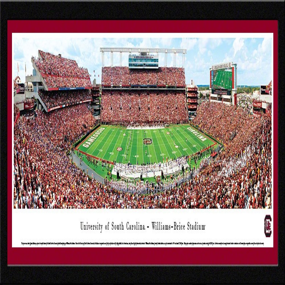 Blakeway Worldwide Panoramas, Inc. South Carolina Football - 41.5x15-inch Panoramic Photograph with Mat