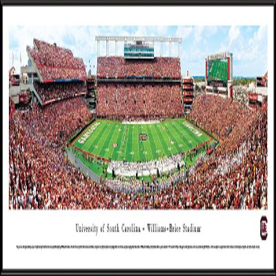 South Carolina Football - 40.25x13.75-inch Panoramic Framed Picture