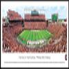South Carolina Football - 40.25x13.75-inch Panoramic Framed Picture view 1