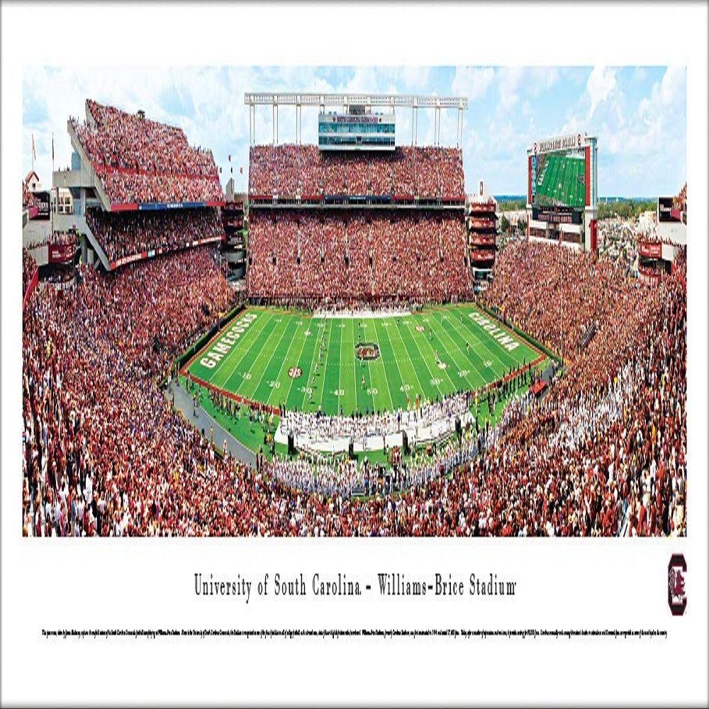 Blakeway Worldwide Panoramas, Inc. South Carolina Football - 40x13.5-inch Panoramic Poster