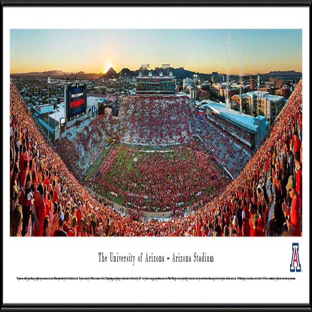 Arizona Football, Stripe the Stadium - 40.25x13.75-inch Panoramic Framed Picture