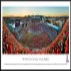 Arizona Football, Stripe the Stadium - 40.25x13.75-inch Panoramic Framed Picture view 1