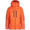 Eigerjoch Pro IN Hooded Jacket - Men's, Arumita, XXL view 1