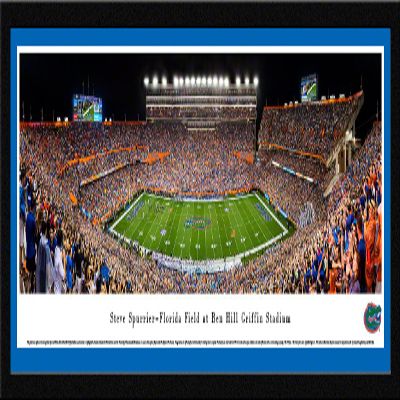 Florida Gators Football, Night Game - 42x15.5-inch Panoramic Framed Picture with Mat