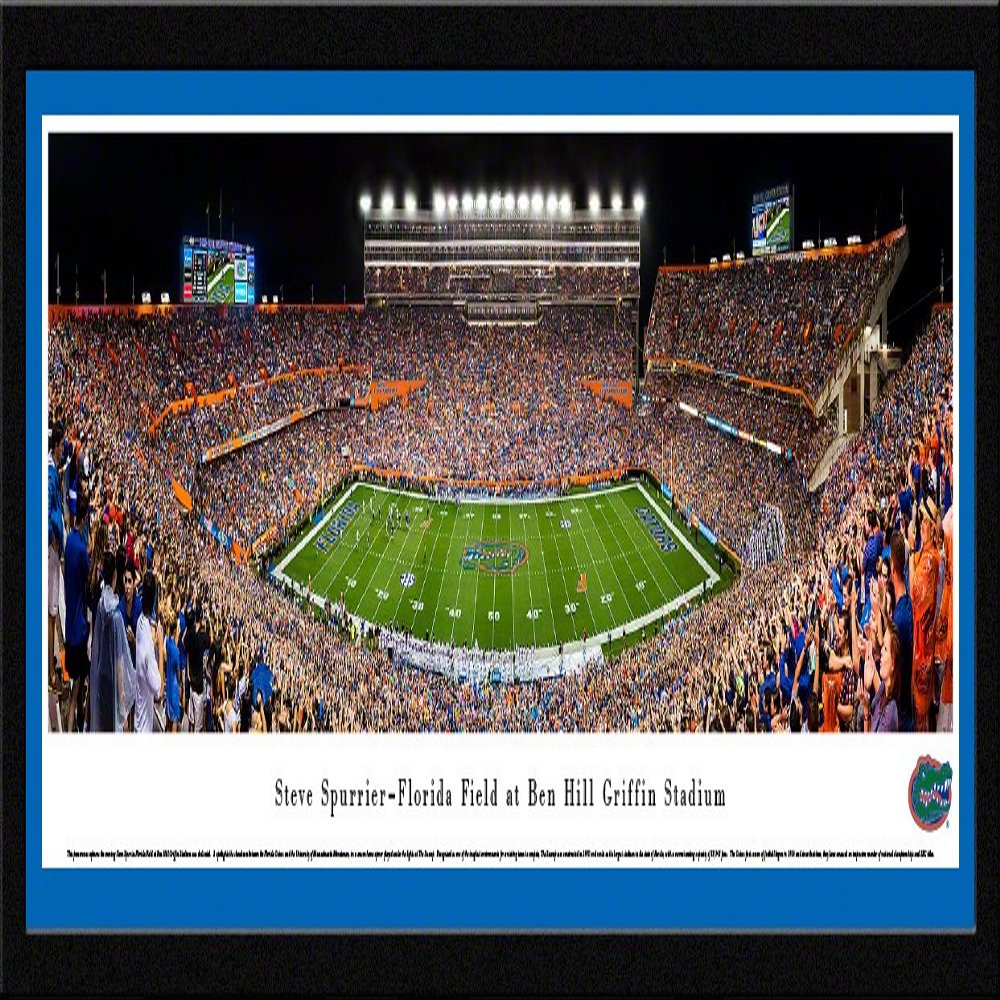 Florida Gators Football, Night Game - 42x15.5-inch Panoramic Framed Picture with Mat