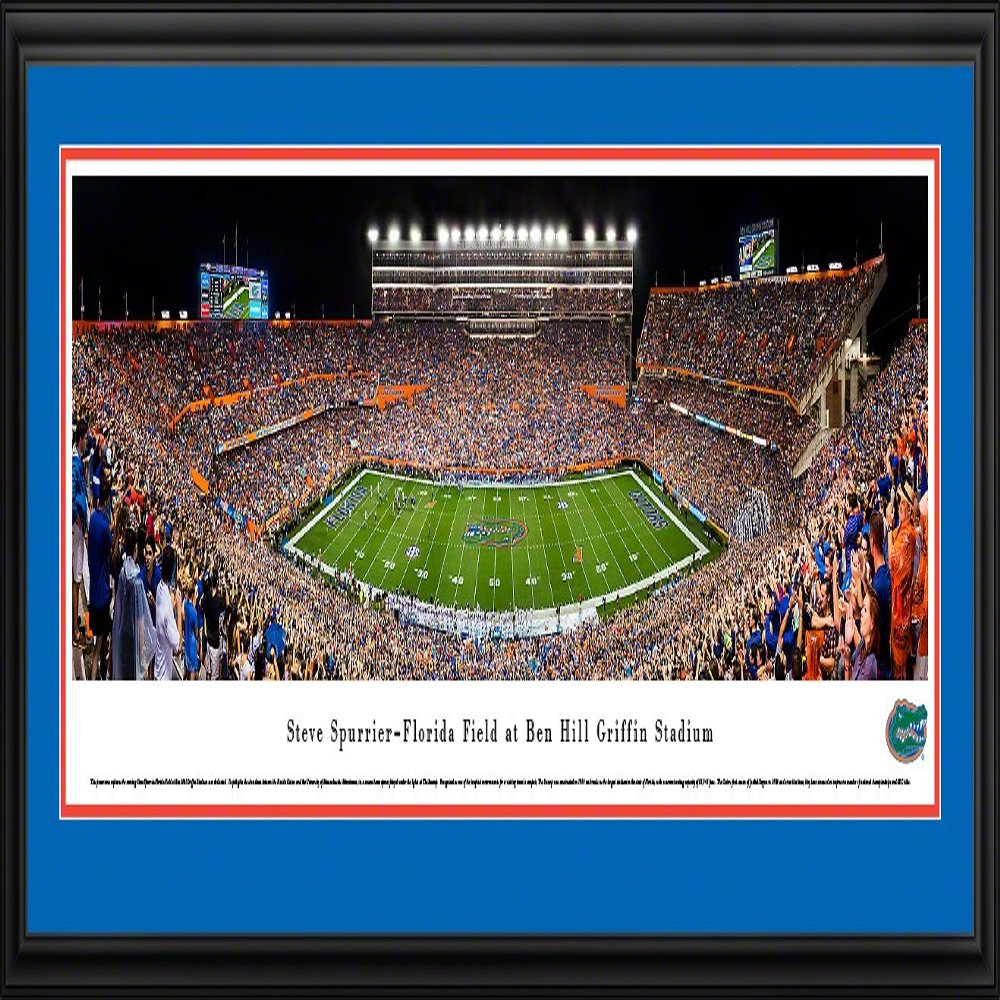 Florida Gators Football, Night Game - 44x18-inch Panoramic Deluxe Framed Picture with Mat