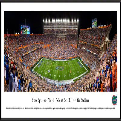 Florida Gators Football, Night Game - 40.25x13.75-inch Panoramic Framed Picture