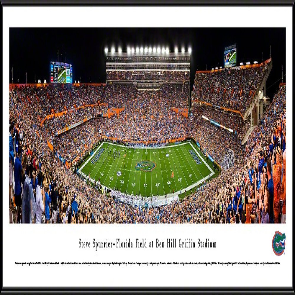 Florida Gators Football, Night Game - 40.25x13.75-inch Panoramic Framed Picture