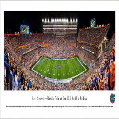 Blakeway Worldwide Panoramas, Inc. Florida Gators Football, Night Game - 40x13.5-inch Panoramic Poster