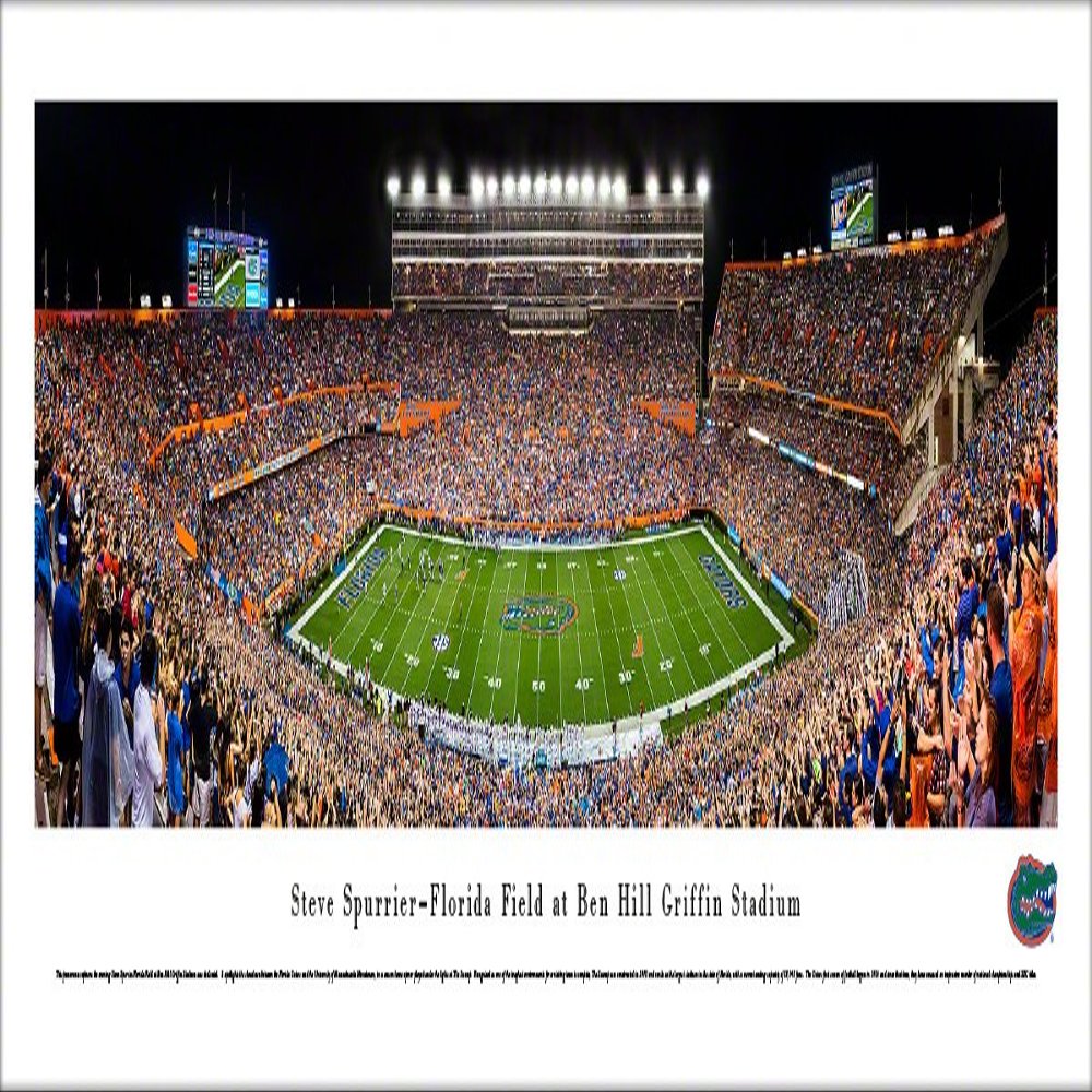 Blakeway Worldwide Panoramas, Inc. Florida Gators Football, Night Game - 40x13.5-inch Panoramic Poster