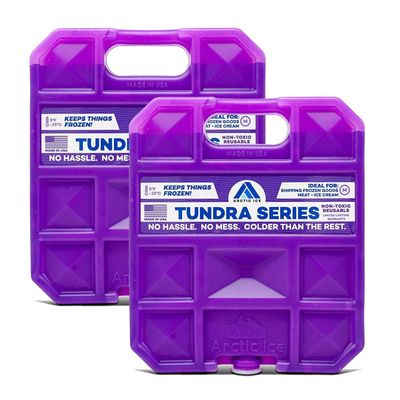 Arctic Ice Tundra Series Long Lasting Reusable Ice Pack for Coolers, Lunch Boxes, Camping, Fishing and More (2-Pack) (Large 2.5 LB (2-Pack))