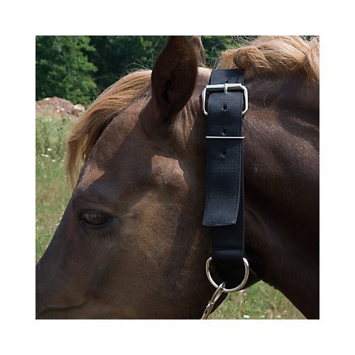 Aime Imports Basic Picket Line Neck Collar