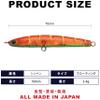 Lucky Craft L0602 Wonder Slim Light 70#2358 Red Gigo view 2
