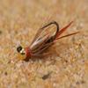Tungsten Jigged Prince Nymph Jig Head Fly Euro Nymph Tied on Hanak Hooks - 6ct Pack (Assortment) view 1