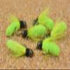 Tungsten Mop Jig Fly Size #10 - Euro Nymph Tied on Hanak Hooks - 6ct Pack (Chartreuse Hook #10) view 2