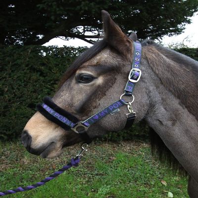 Rhinegold Love My Pony Headcollar & Rope Set
