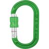 DMM XSRE Locking Carabiner - Green view 2