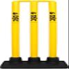 DSC Unisex's 1503326 Plastic Cricket Stumps Set with Rubber Base, Multi Color, One Size view 2