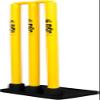 DSC Unisex's 1503326 Plastic Cricket Stumps Set with Rubber Base, Multi Color, One Size view 3