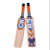 CW Bouncer Cricket Set Junior Size Left Hand Senior Cricket Set Batsmen Cricket Kit Set Adult Right Hand Cricket Protector Gears in Kit Bag (5 for 10-11 Year, Right Hand) view 2