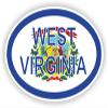 1x West Virginia Country Code Oval Vinyl Waterproof Sticker - 25cm / 9.8inches view 1