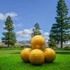 Plain Color Golf Balls 1 Dozen Blank, Non-Printed (Gold) view 3