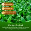 HIT LIST SEED Brassica Food Plot Seeds for Deer [Annual Mix] - Food Plot Seed Brassica - Deer Plot Seed Mix - Daikon Radish, Purple Top Turnips, Forage Brassica - Fall Planting - 6 lbs (1 Acre) view 2