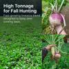 HIT LIST SEED Brassica Food Plot Seeds for Deer [Annual Mix] - Food Plot Seed Brassica - Deer Plot Seed Mix - Daikon Radish, Purple Top Turnips, Forage Brassica - Fall Planting - 6 lbs (1 Acre) view 3