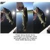 Fishing Reels Spinning Reel Open Face - Powerful 5.2:1 Smooth Spinning Reels Freshwater Good Casting Distance for Inshore Freshwater Bass, Sport Fish - Remi 3000 Spinning Reel - U.S. Veteran Owned view 4