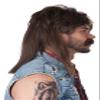 California Costumes The Lone Wolf Mullet Adult Wig, Standard view 2