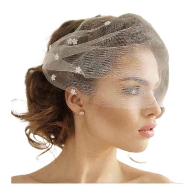 Olbye Bridal Wedding Birdcage Veil - White Lace with Flower Rhinestone Comb for Tea Party Fascinator & Prom
