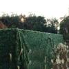 KDDFN Camouflage Nets,Shade Nets,UV Protection Nets,for Outdoor Recreation,Decorative Gardens,Hunting,Jungle Camping,Balcony Sun Protection(8x10m(26.2x32.8ft)) view 2