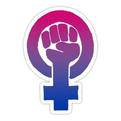 (Set of 3) Bisexual Feminist - Gay Pride Decal Sticker - Sticker Graphic - Auto, Wall, Laptop, Cell, Truck Sticker for Windows, Cars, Trucks