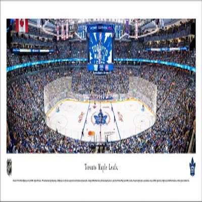 Blakeway Worldwide Panoramas, Inc. Toronto Maple Leafs - 40.x13.5-inch Panoramic Poster
