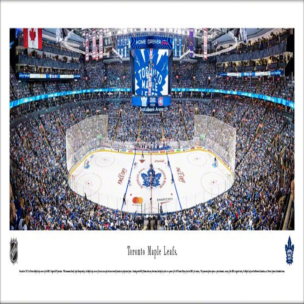 Blakeway Worldwide Panoramas, Inc. Toronto Maple Leafs - 40.x13.5-inch Panoramic Poster