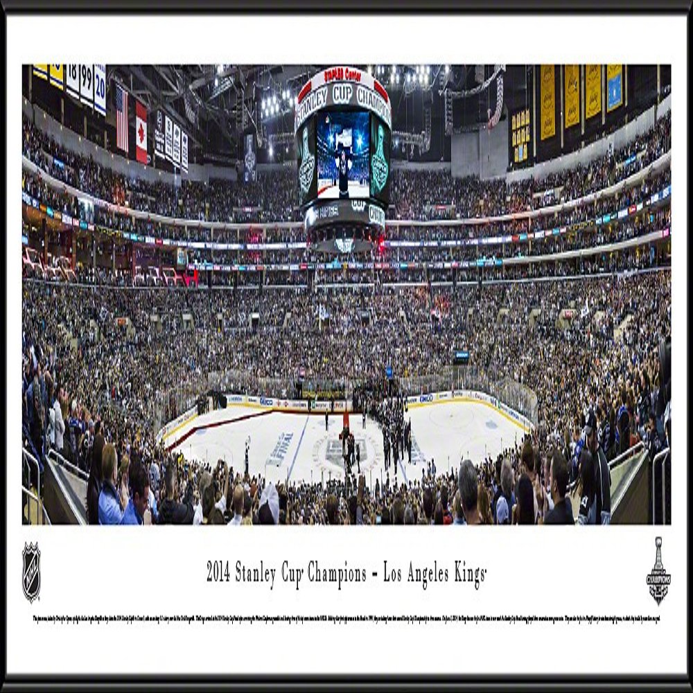 2014 Stanley Cup Champions - Los Angeles Kings - 40.25x13.75-inch Panoramic Standard Framed Picture