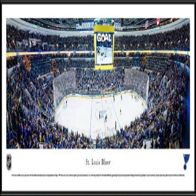 St. Louis Blues - 40.25x13.75-inch Panoramic Standard Framed Picture
