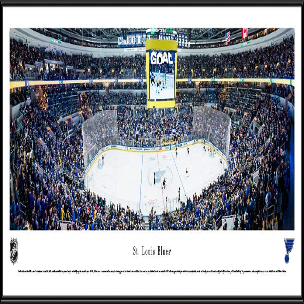 St. Louis Blues - 40.25x13.75-inch Panoramic Standard Framed Picture