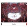 Blakeway Worldwide Panoramas, Inc. Calgary Flames - 40.x13.5-inch Panoramic Poster view 1
