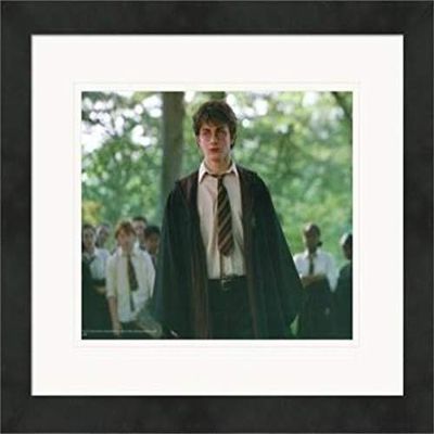 Sports Memorabilia Autograph Warehouse 559843 8 x 10 in. Daniel Radcliffe Matted & Framed Photo - Harry Potter Image No.14