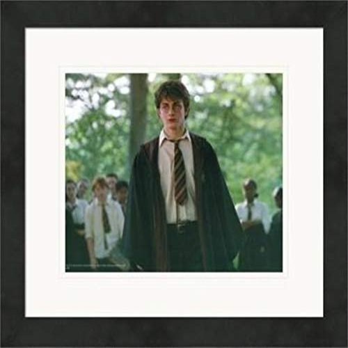 Sports Memorabilia Autograph Warehouse 559843 8 x 10 in. Daniel Radcliffe Matted & Framed Photo - Harry Potter Image No.14