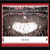 Carolina Hurricanes - 42x15.5-inch Panoramic Select Framed Picture view 1